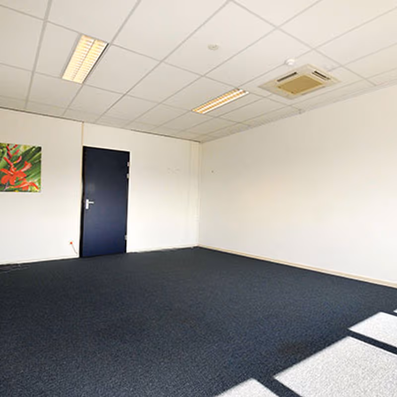 1 Stenograaf, Duiven - Image 6
