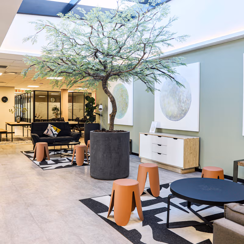 51 Gogosoa Street, Observatory - Image 5