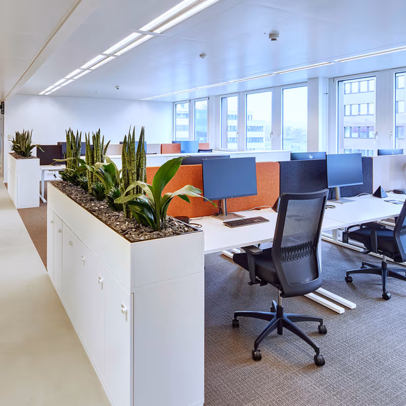 16 Hinterbergstrasse, Steinhausen - Image 1