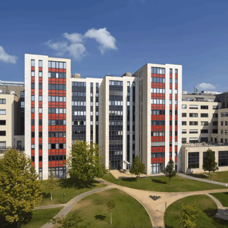 undefined - Image 11