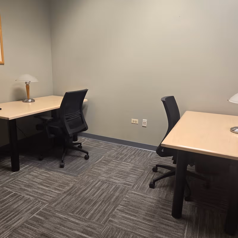 250 Parkway Drive, Lincolnshire - Image 3