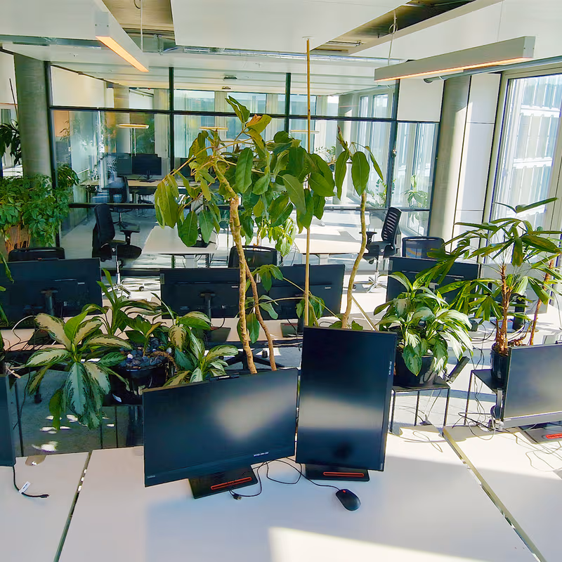 17 Maneggstrasse, Zürich - Image 4