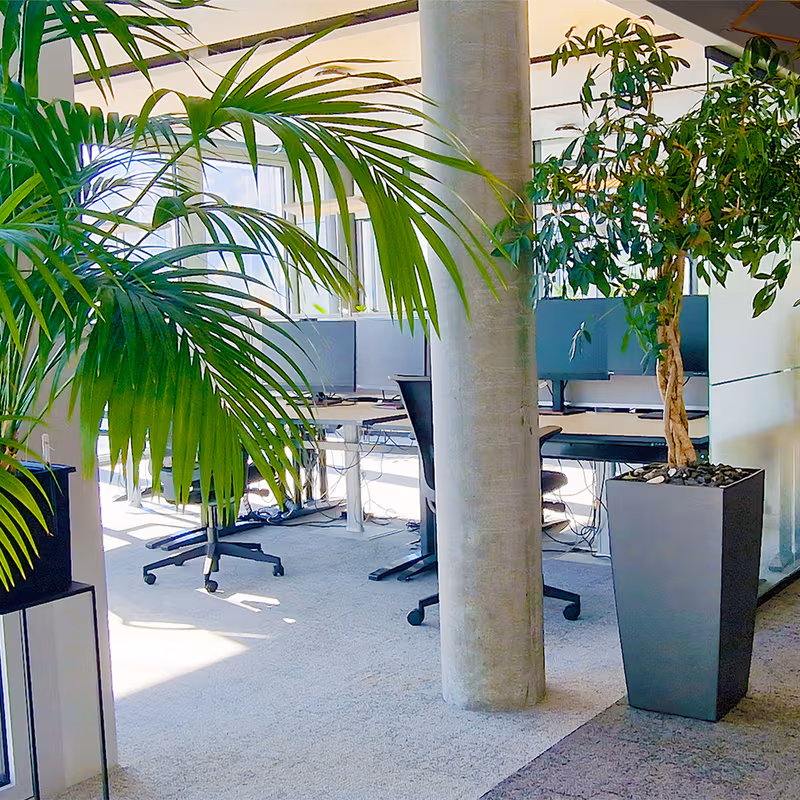 17 Maneggstrasse, Zürich - Image 5