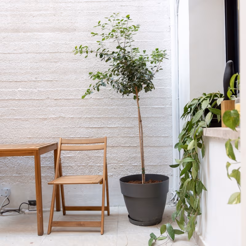 83 Gladstonos, Limassol - Image 7