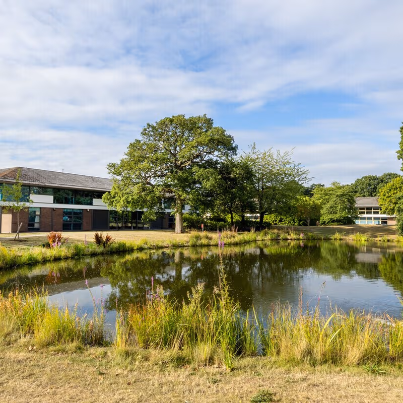 undefined - Image 22