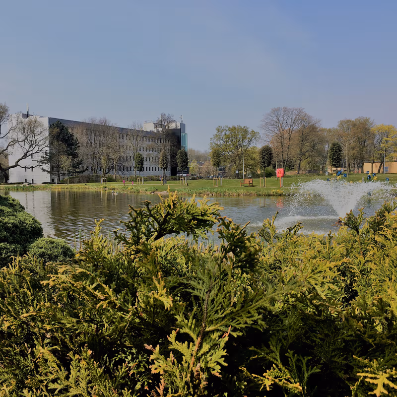 undefined - Image 12