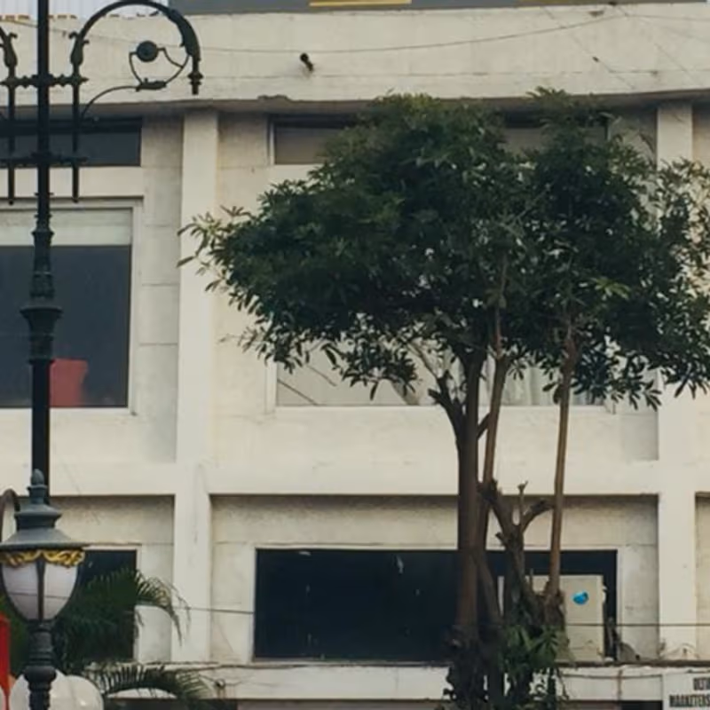 undefined - Image 11