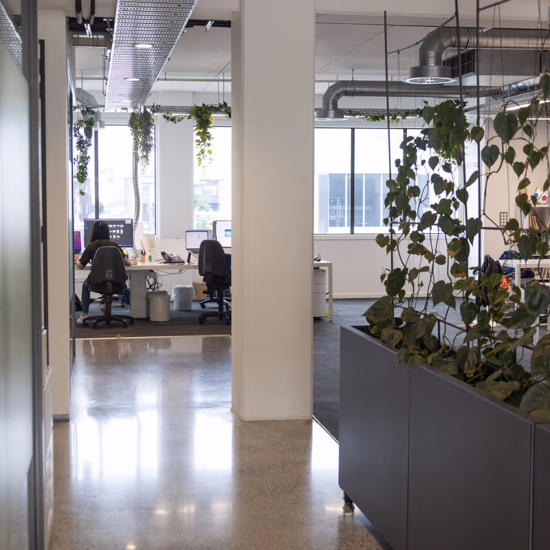 8 Boston Road, Auckland - Image 5