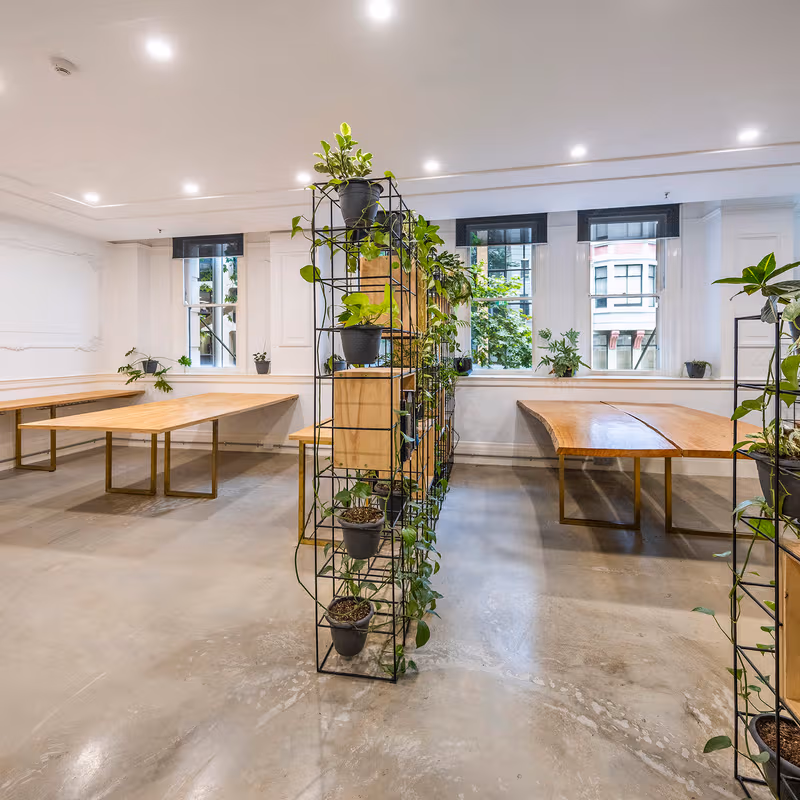 262 Pitt Street, Sydney - Image 6