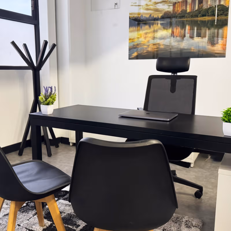 San Miguel Chapultepec Governor Agustín Vicente Eguia 8, Mexico City - Image 2