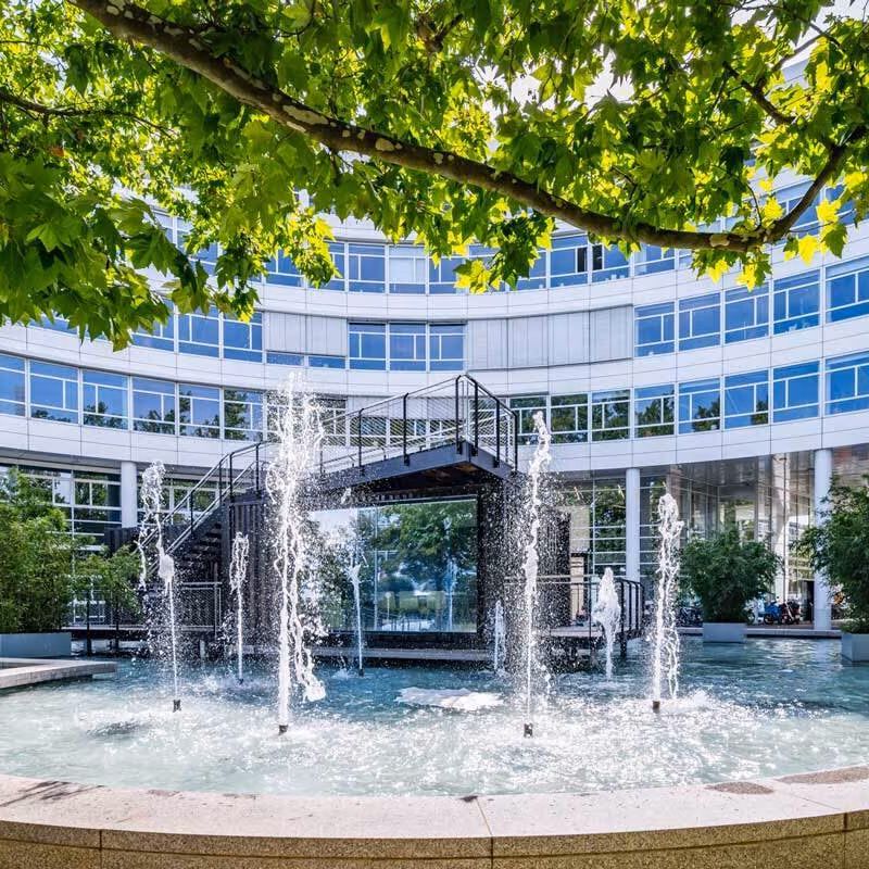 undefined - Image 11