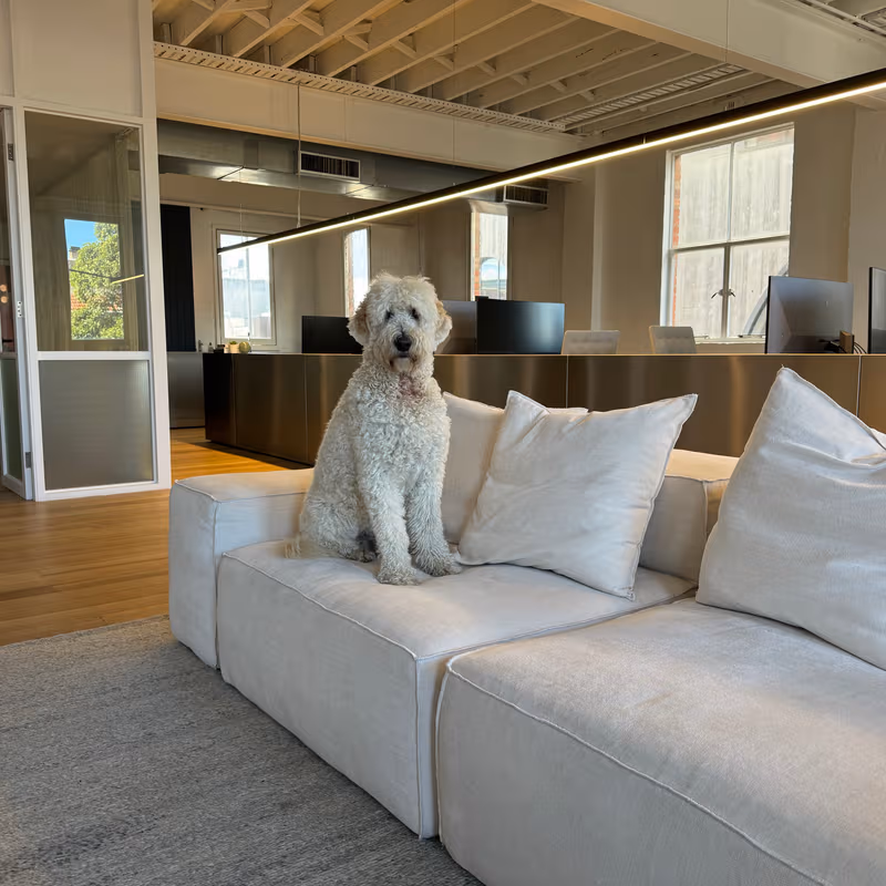 387 Clarendon Street, South Melbourne - Image 6