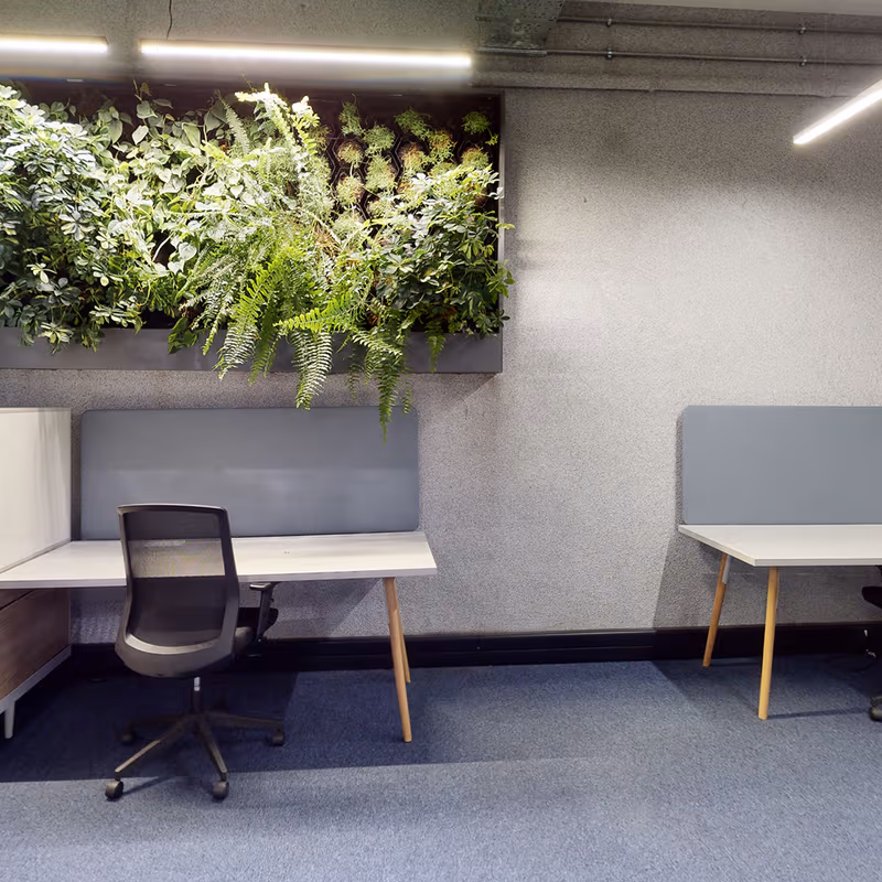 undefined - Image 10