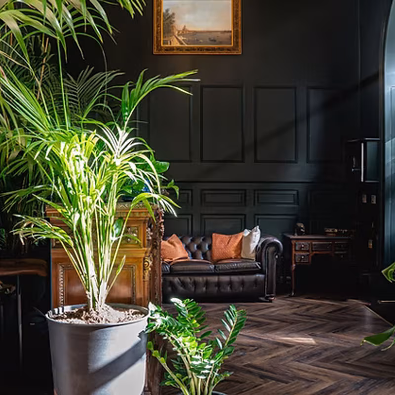 29 Queen Square, Bristol - Image 1