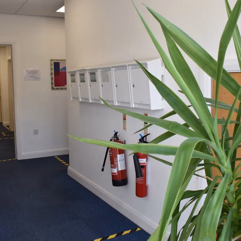 Minerva Avenue, Chester - Image 1