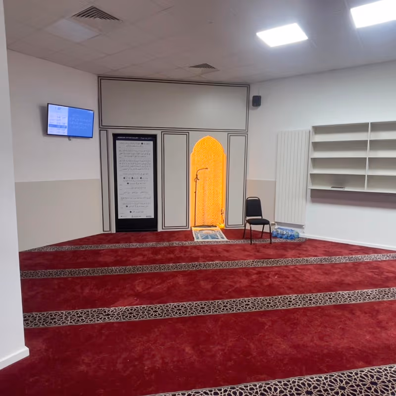 undefined - Image 15