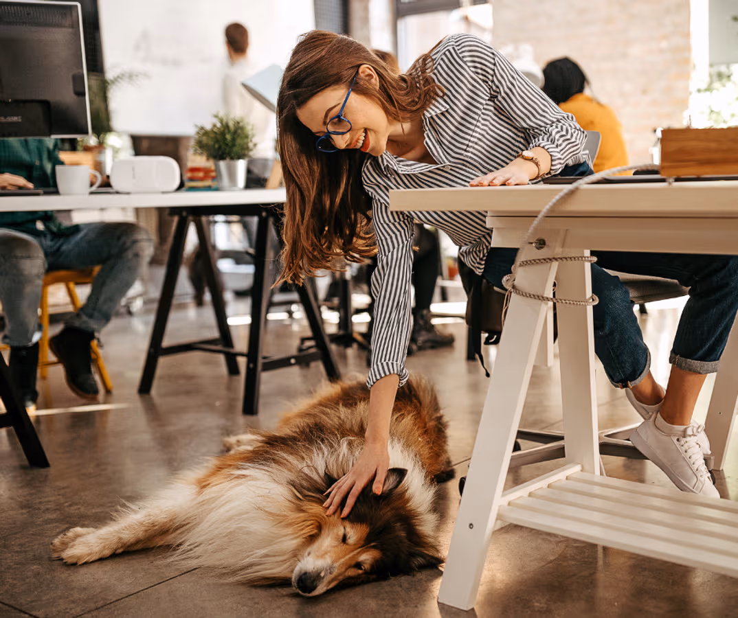 Work With Your Best Friend: 10 Pet-Friendly Coworking Spaces Around the World