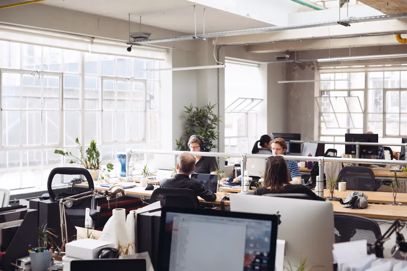 Why Should You Rent Pet Friendly Private Office Spaces?