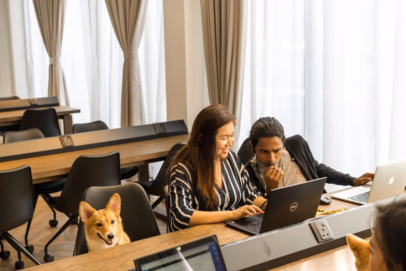 Factors to Pick the Right Pet-friendly Coworking Space in Cecil Street