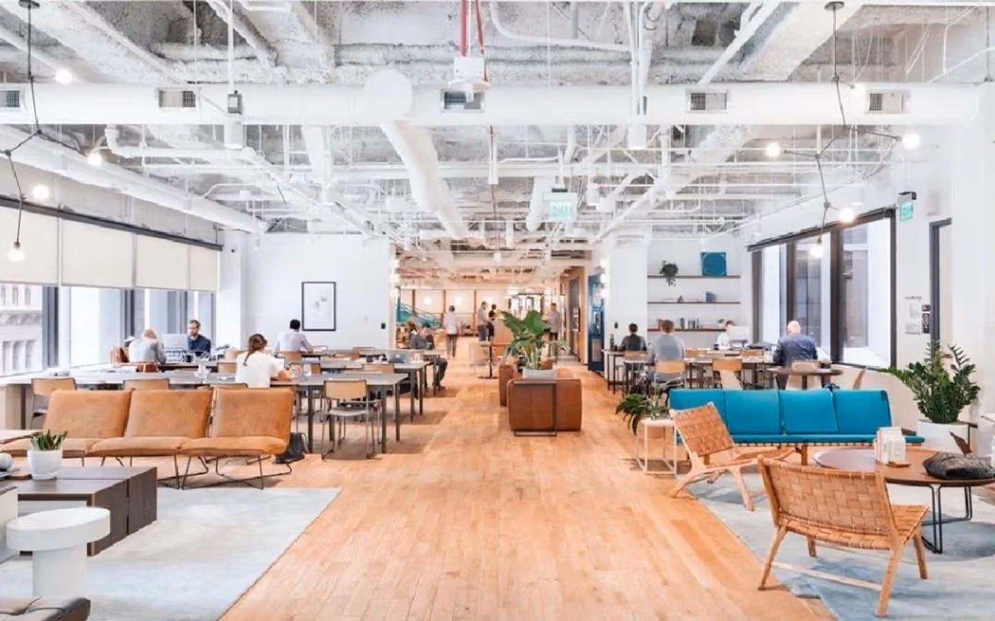Innovate in Style: 15 Best Creative Serviced Offices in Sydney