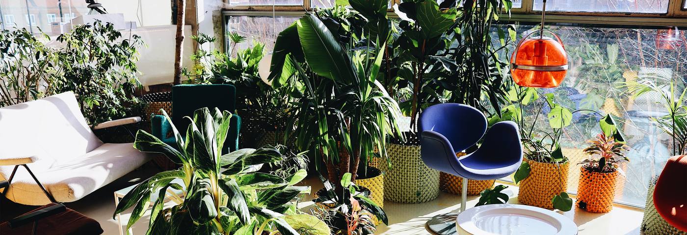 Second Home workspace