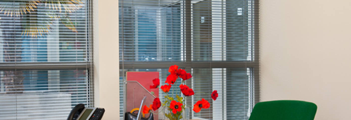 Dexter Serviced Offices workspace