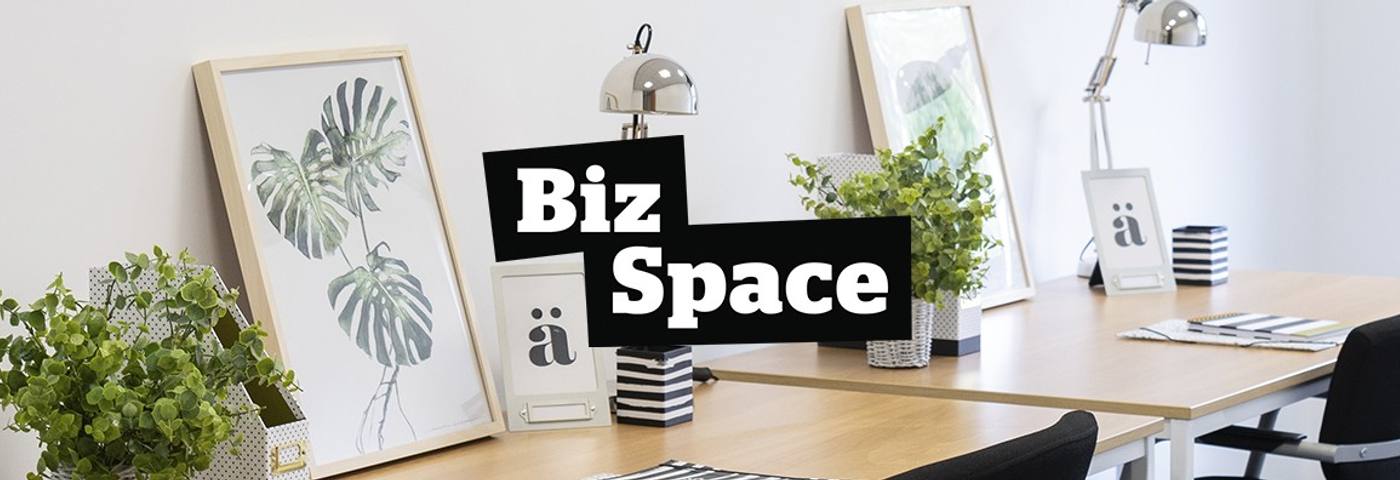 BizSpace workspace