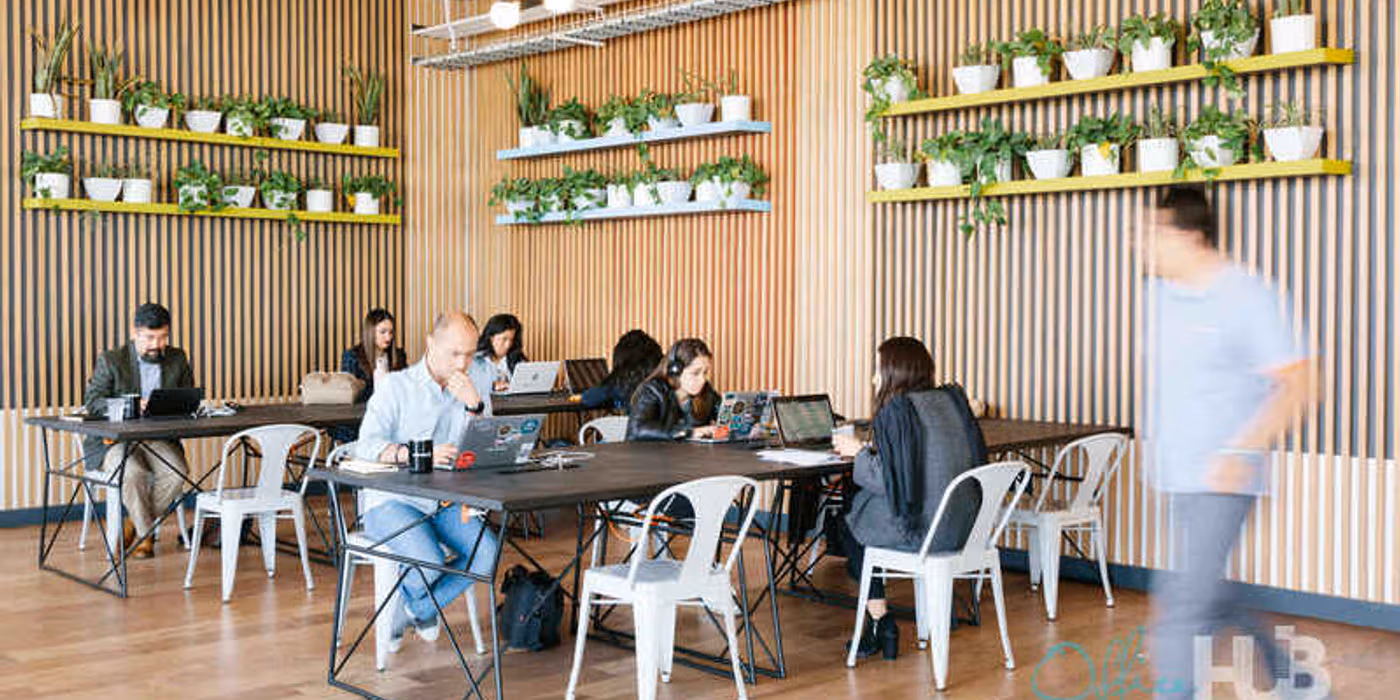 The BEST Coworking Spaces in Colonia Napoles