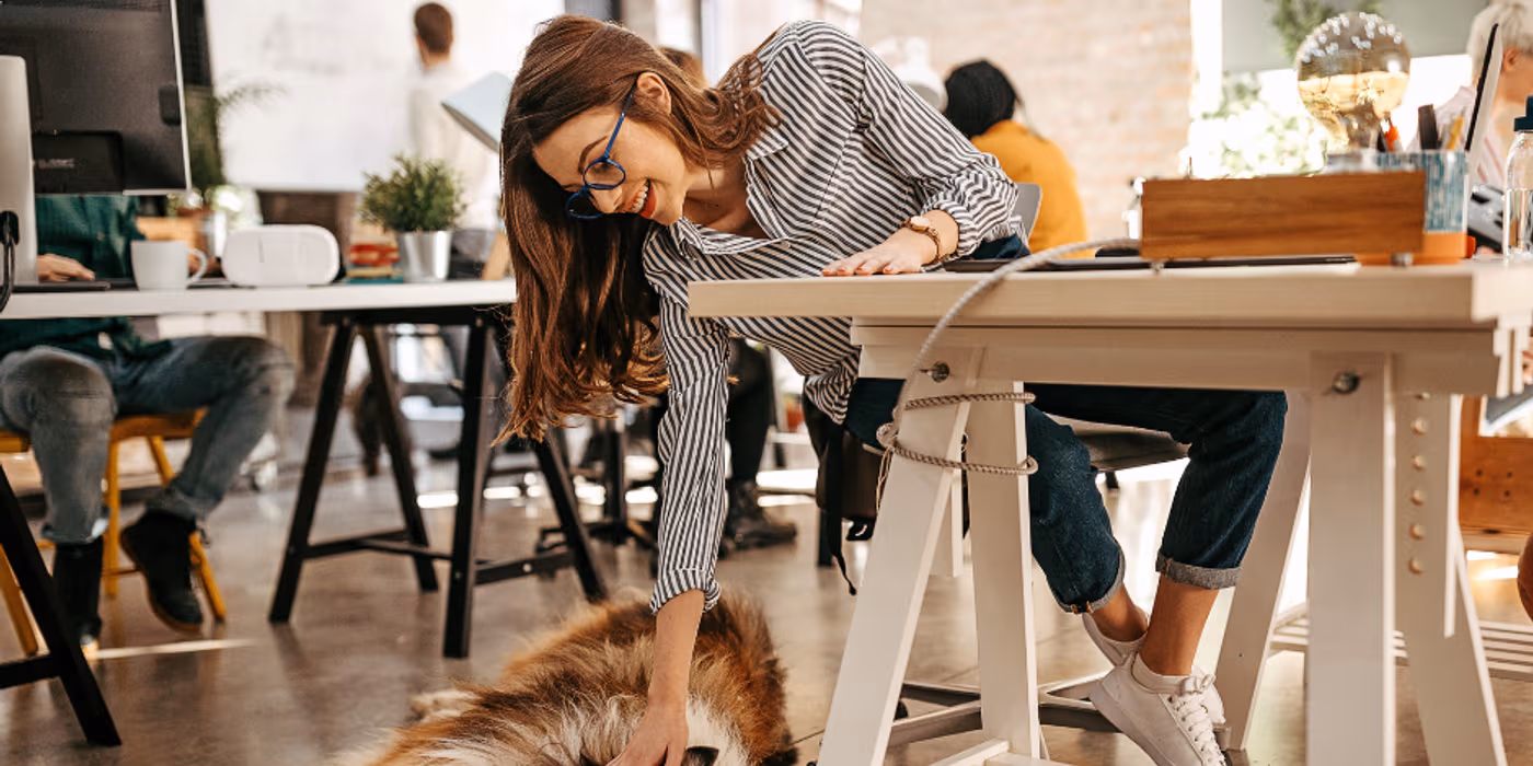 Work With Your Best Friend: 10 Pet-Friendly Coworking Spaces Around the World