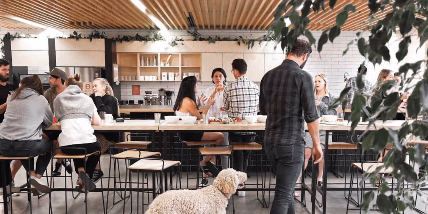 The Best Pet-friendly Serviced Offices in Melbourne You’ll Love Furever!