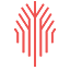 Red Tree Business Suites workspace