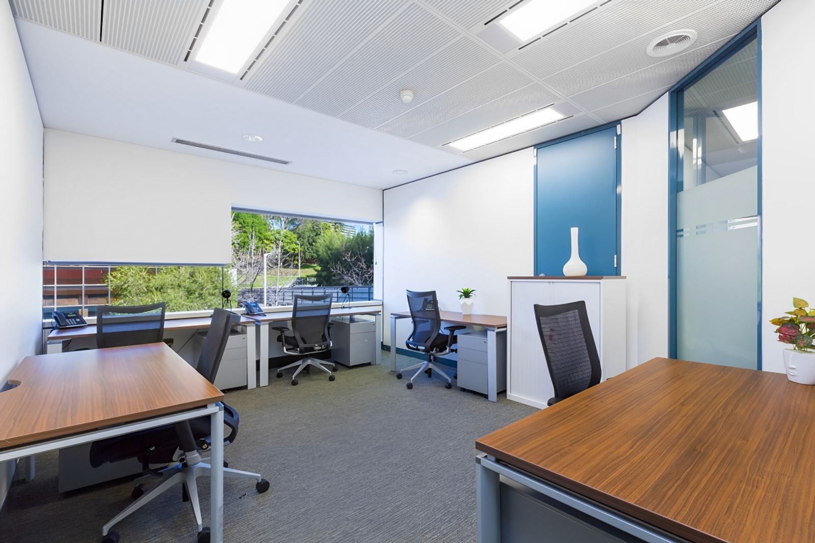 West Perth: The Professional Enclave