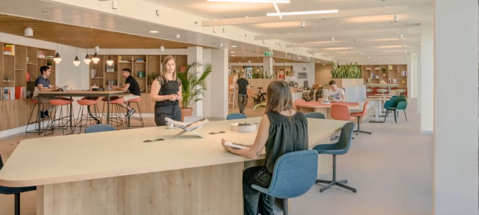 Gertrude-frohlich-sandner-strasse 2–4, Vienna - Image 1