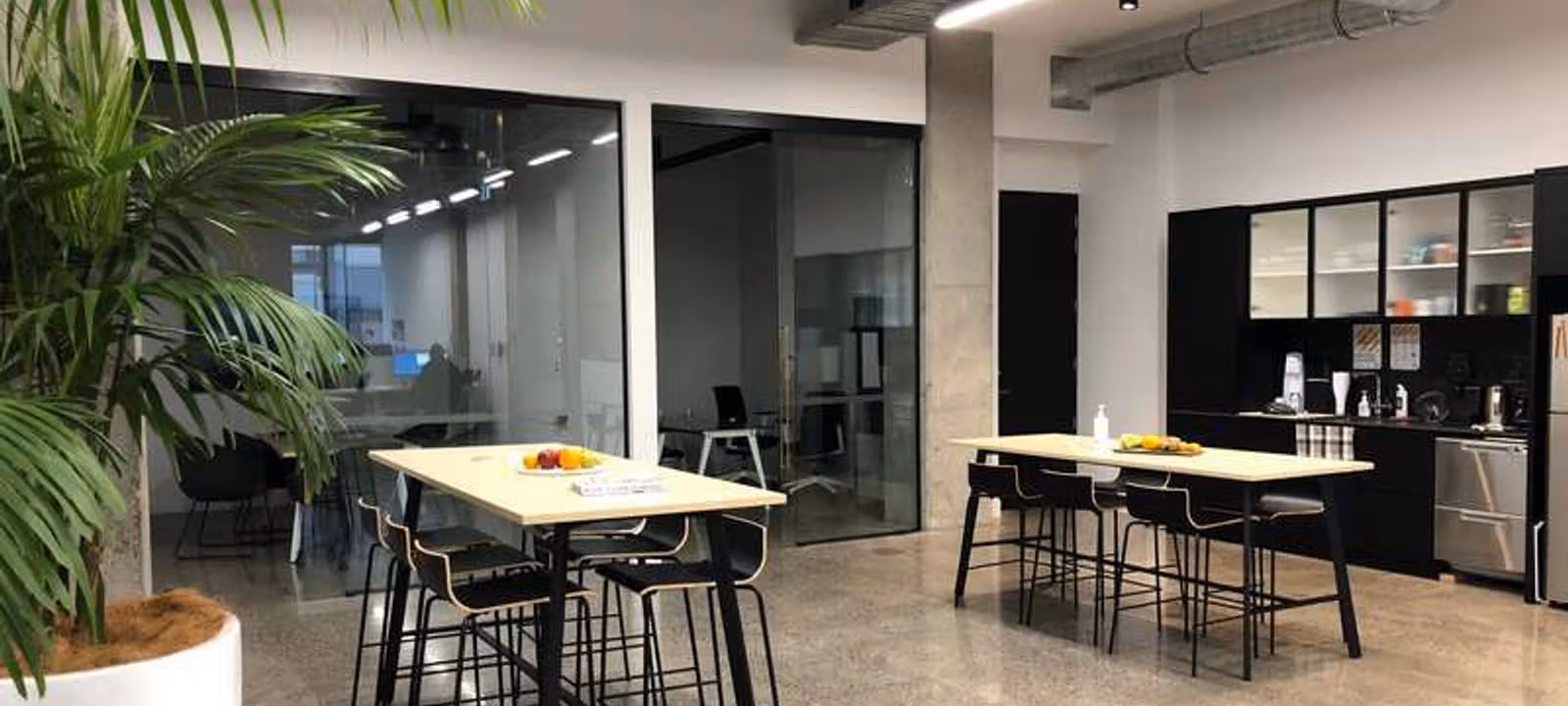 17 Albert Street, Auckland Cbd - Image 1