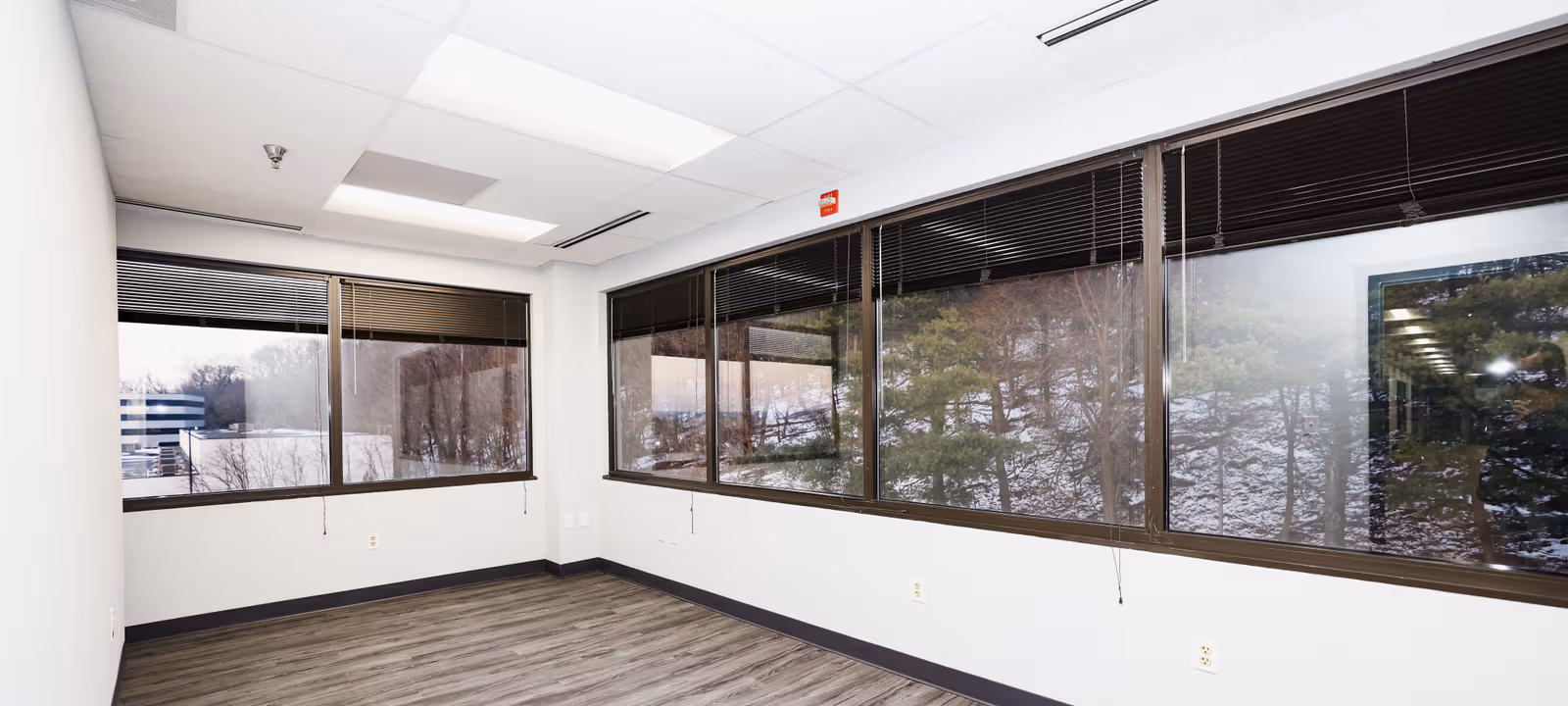 2219 York Road, Timonium - Image 1