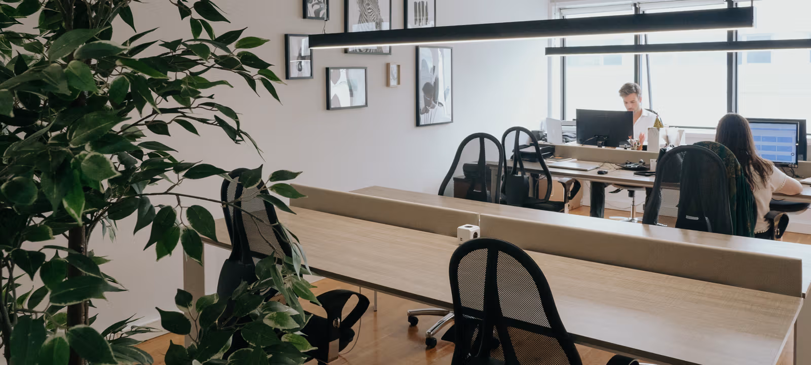 98 Rua Doutor Carlos Pires Felgueiras, Maia - Image 1