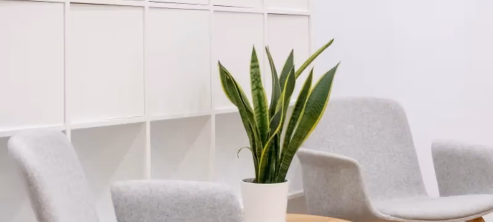 6671 Southwest Fwy, Houston - Image 1