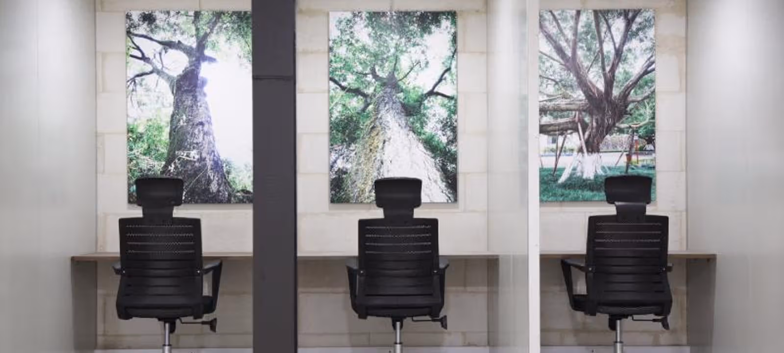 9 The Straight Avenue, Pine Slopes - Image 1