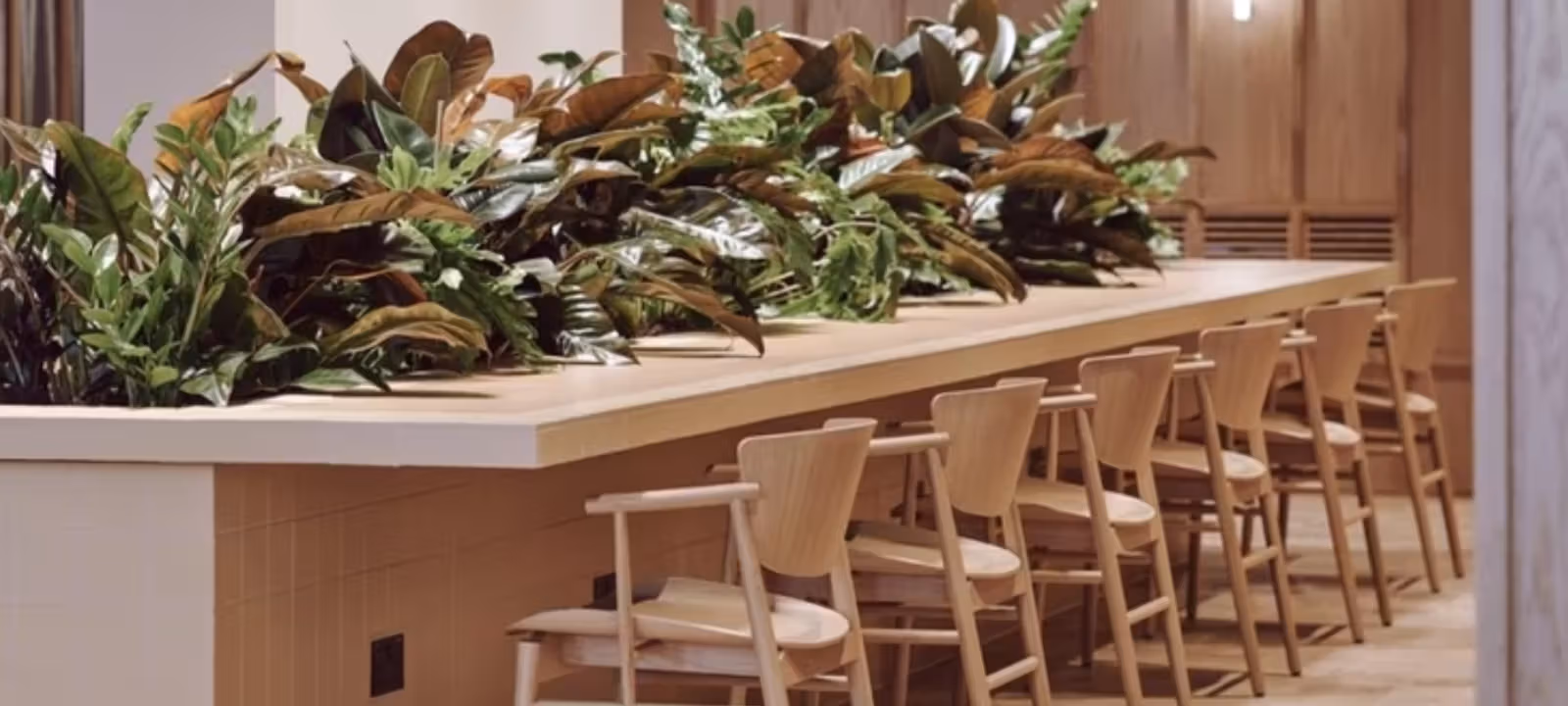 12 Red Lion Square, Holborn - Image 1