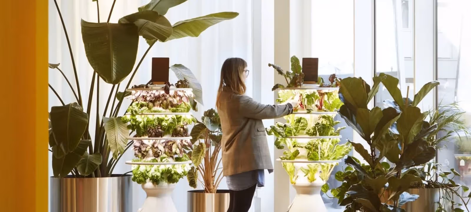 27 Goswell Rd Barbican, London - Image 1