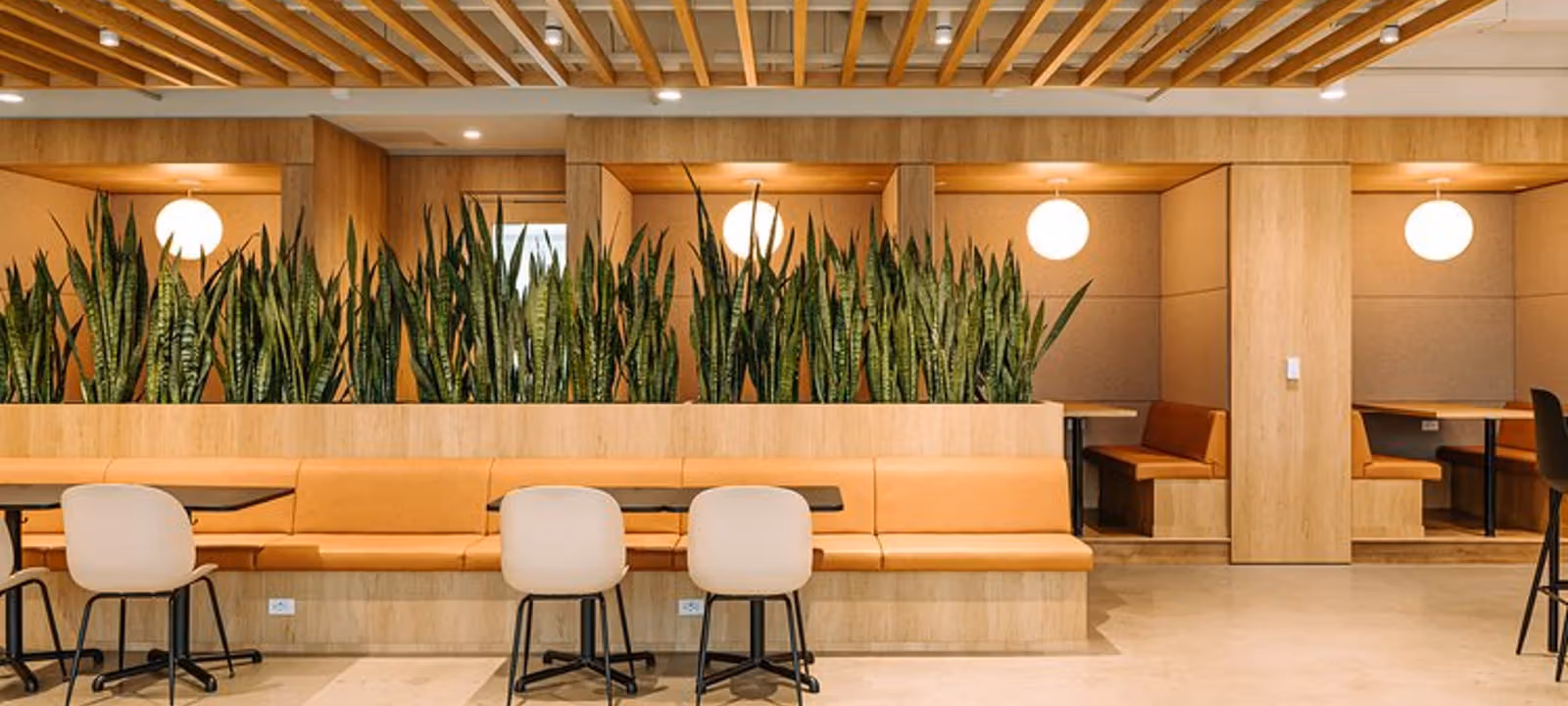 413 Saint-jacques Street, Montreal - Image 1