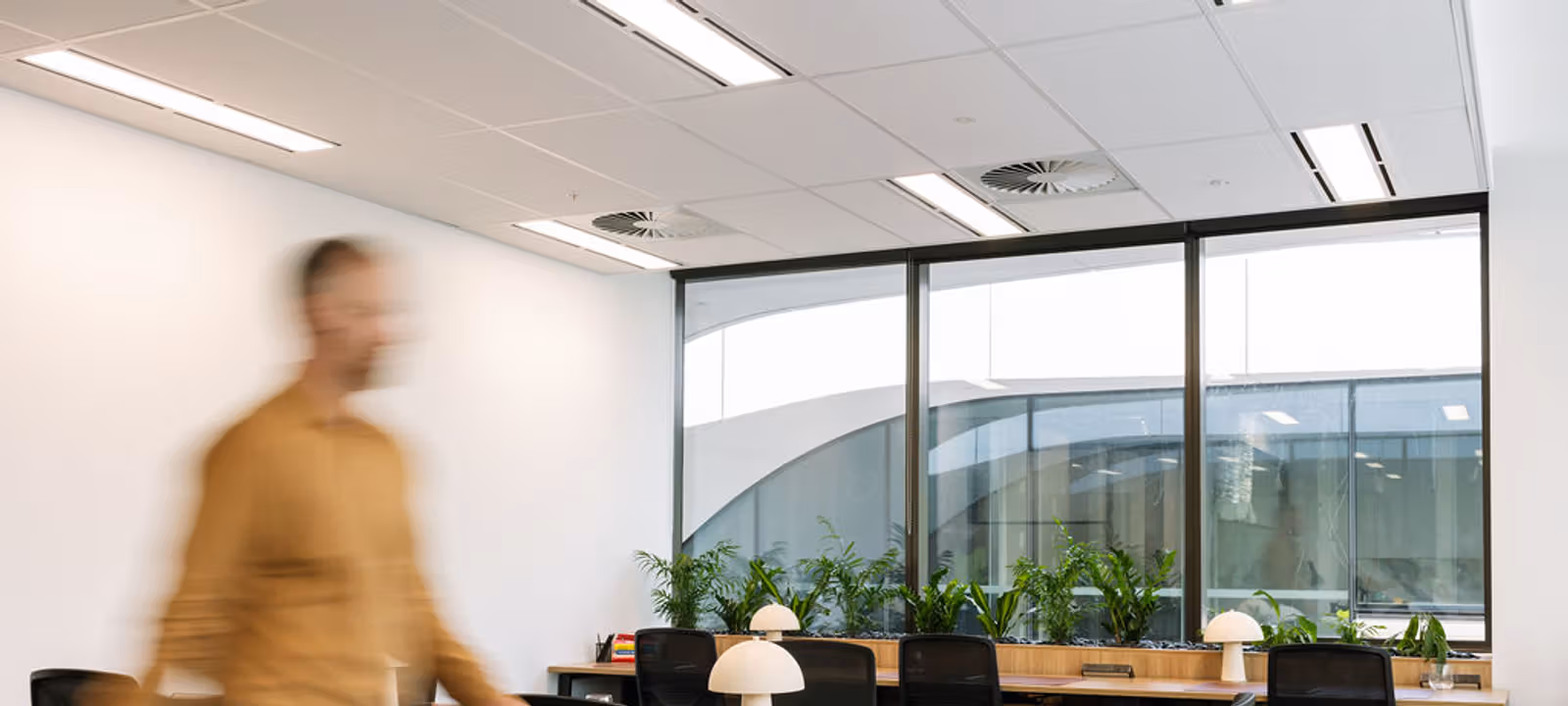 88 O'connell Street, Adelaide - Image 1