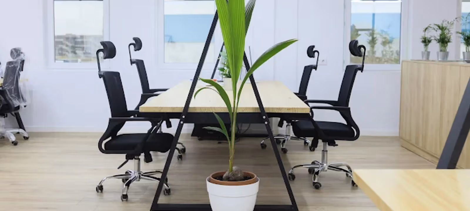 44 Carrer Estrella, Sant Quirze Del Vallès - Image 1