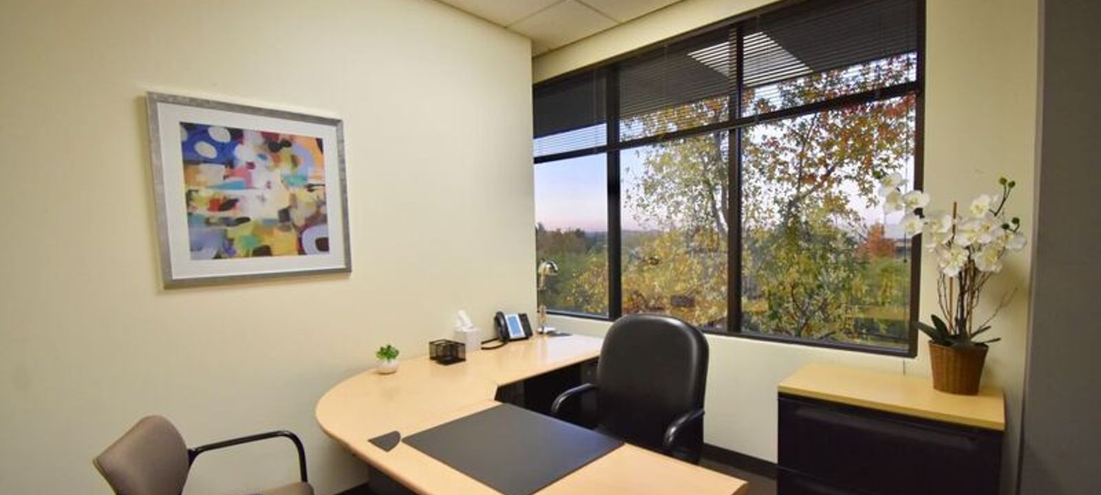 2950 Buskirk Ave, Walnut Creek - Image 1