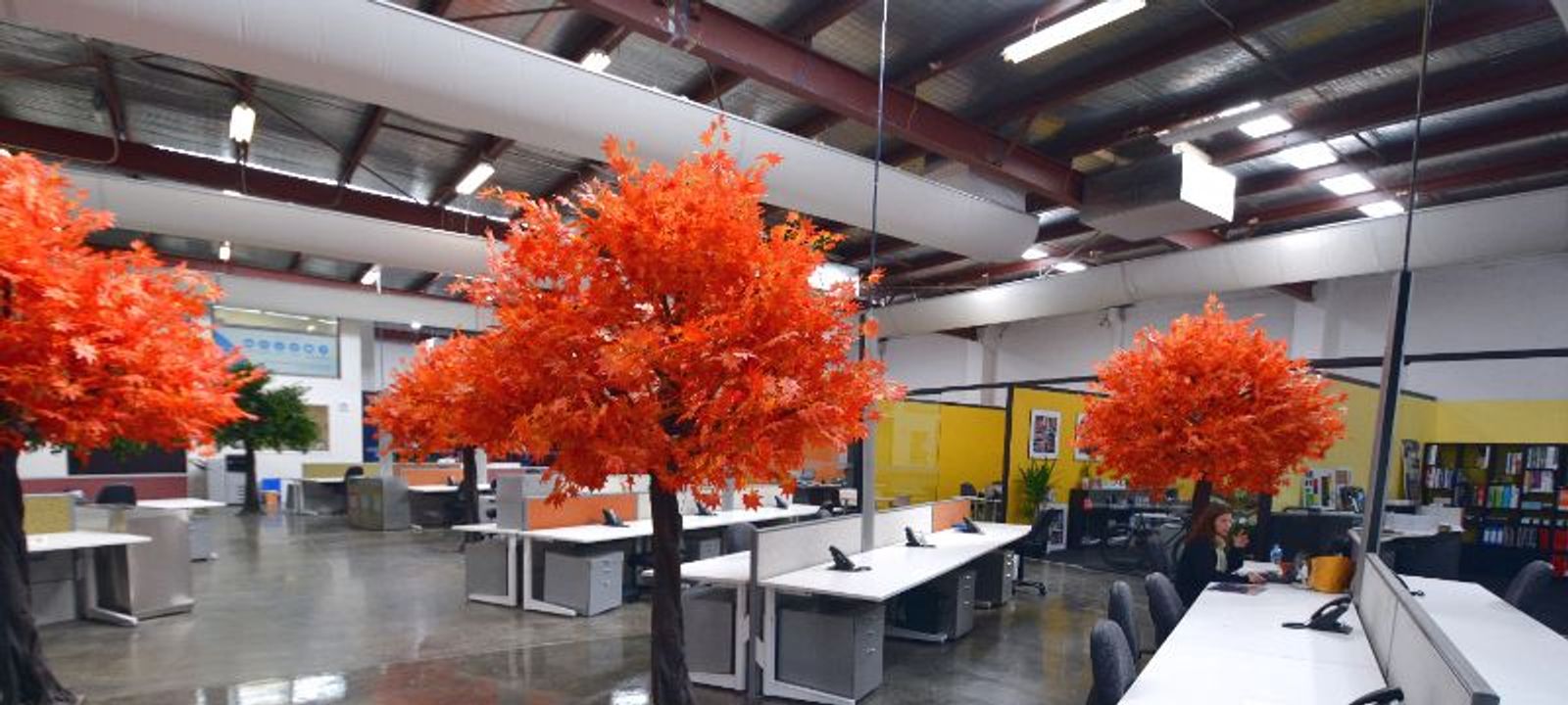 132-138 Cremorne Street, Cremorne - Image 1