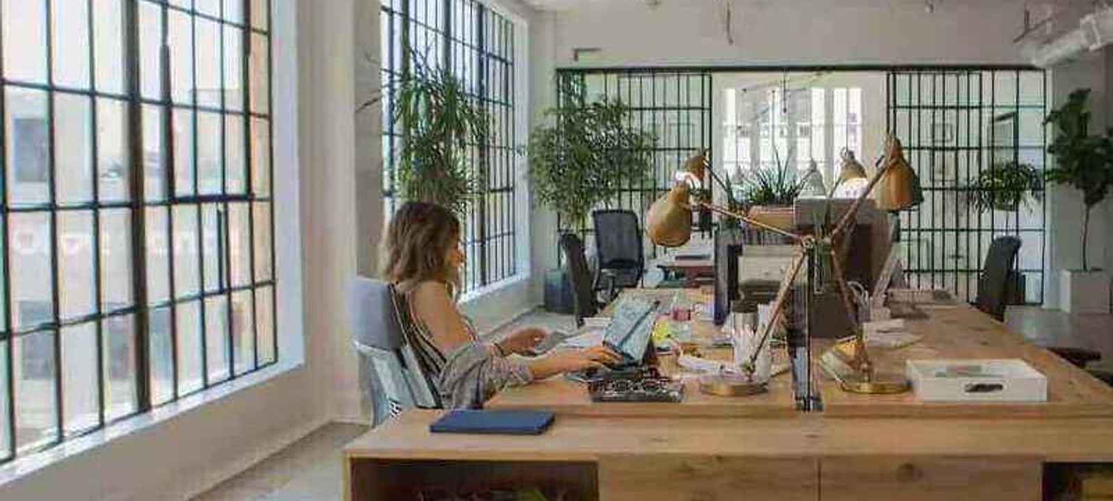 The Collection - Image 1