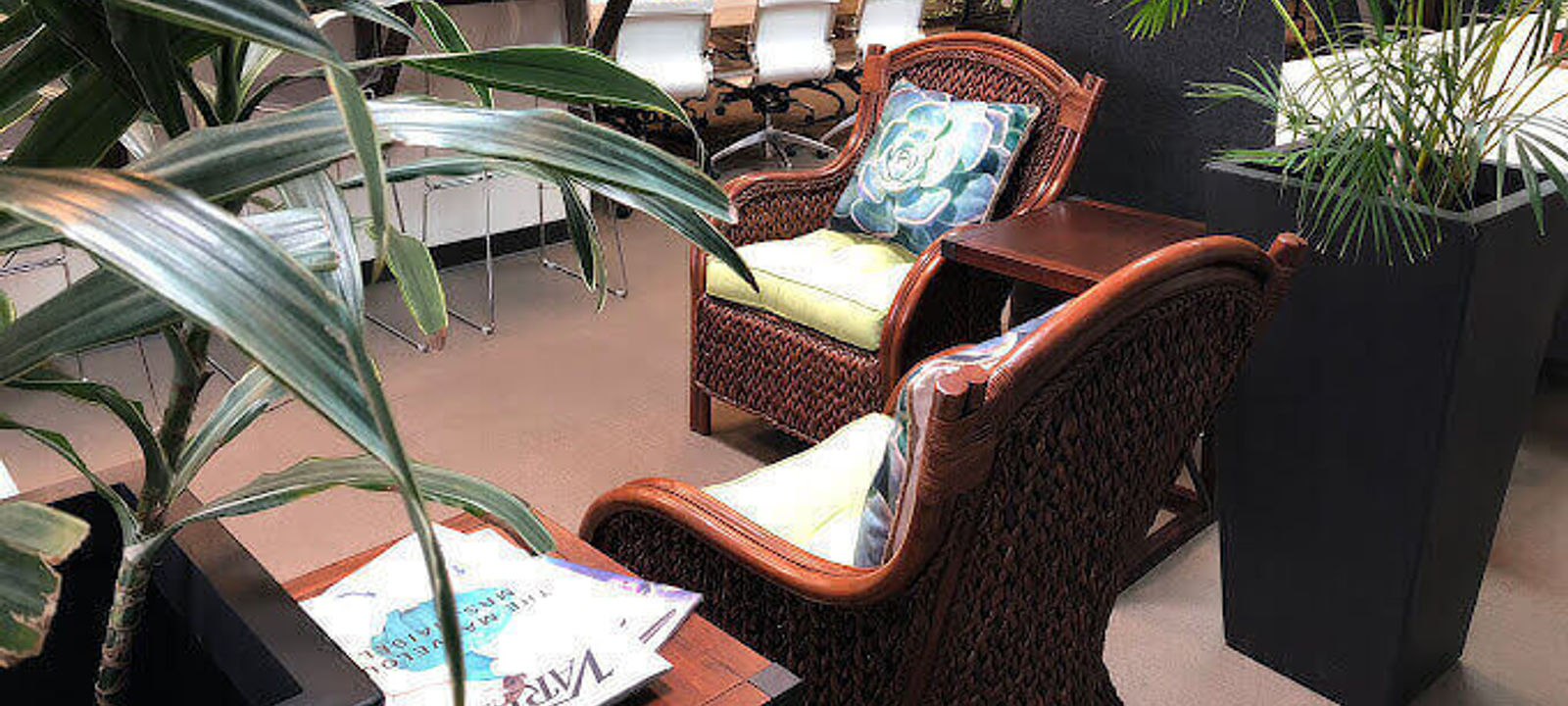 325 Soquel Ave, Santa Cruz - Image 1