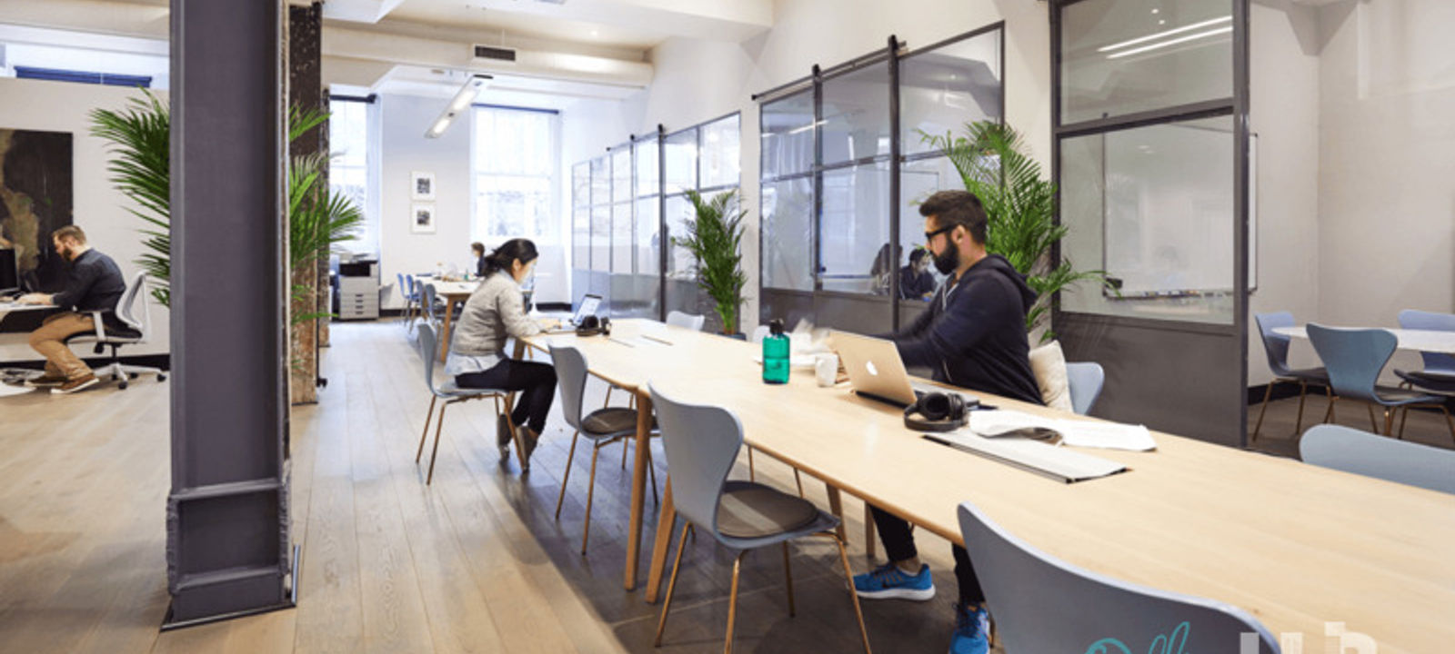 204 Clarence Street 204 Clarence Street, Sydney - Image 1