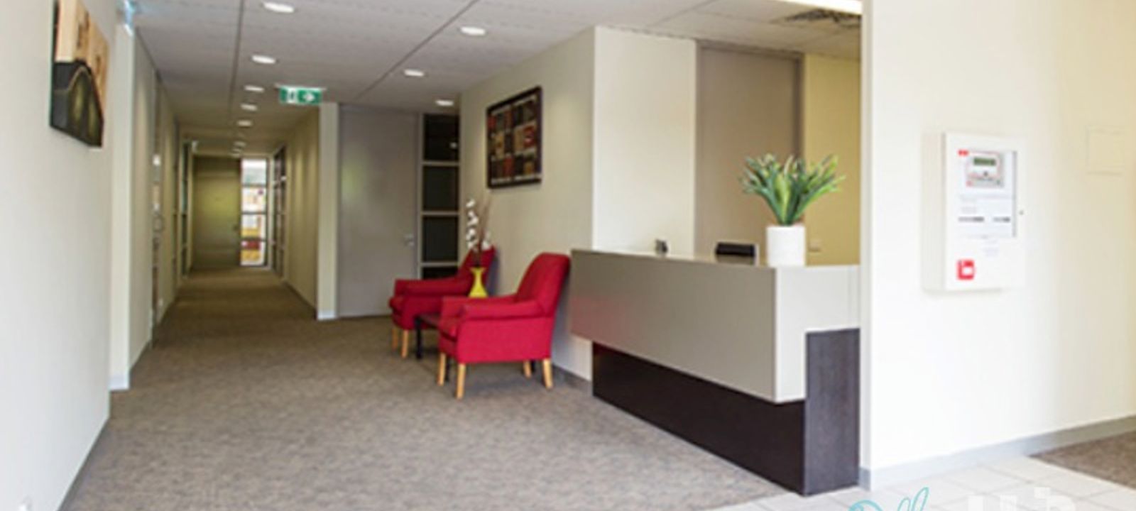 203 Blackburn Road, Mount Waverley - Image 1