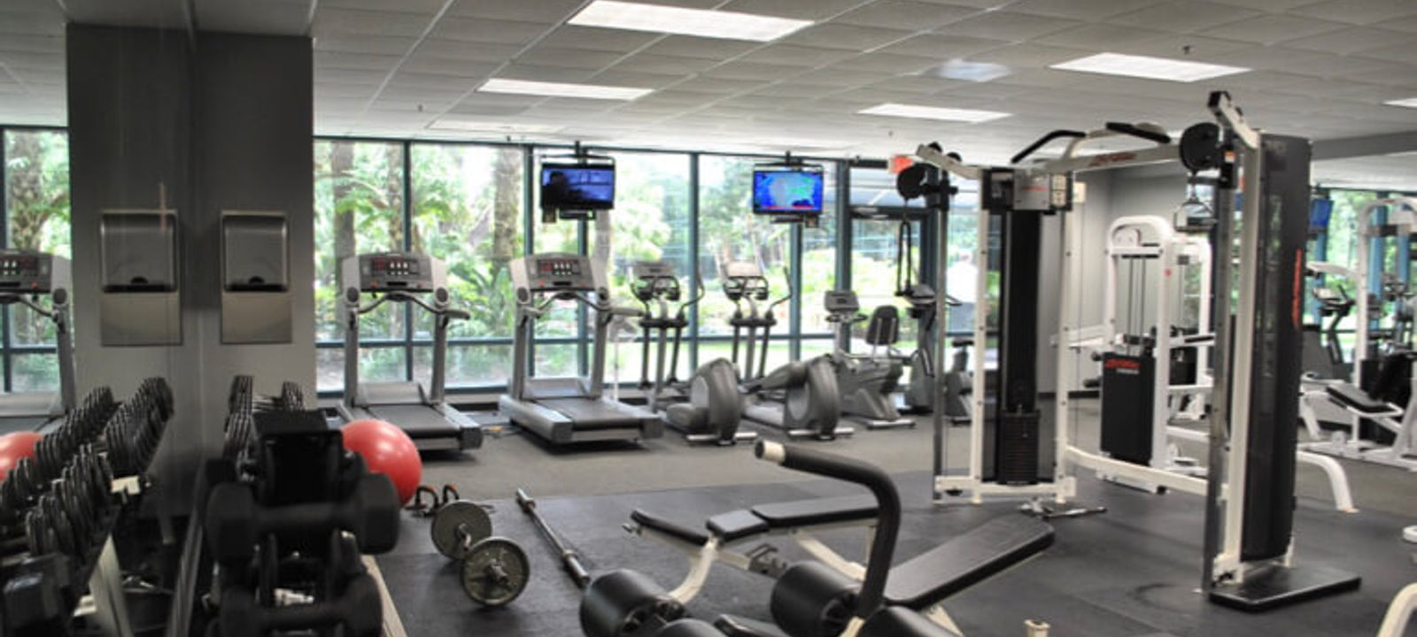 10150 Highland Manor Drive, Tampa - Image 1